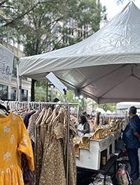India Festival Shopping